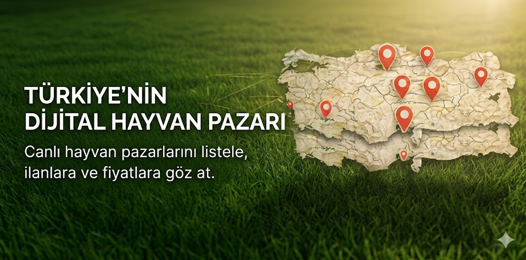 Küçükbaş Hayvancılıkta Beslenme Stratejileri