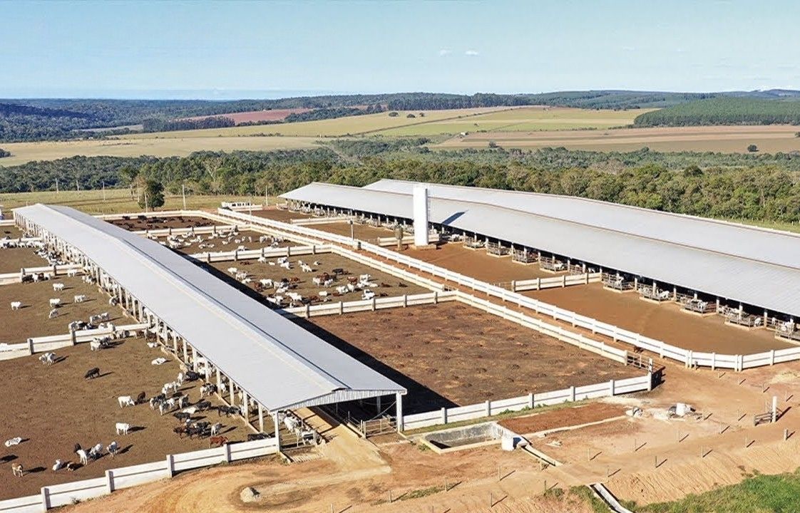 Kula Hayvan Pazarı Yeniden Faaliyete Geçiyor