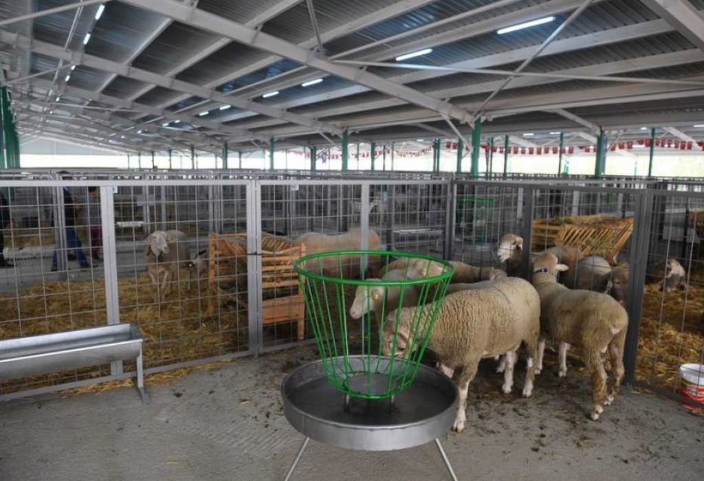 Dijital Tarım: Otonom Çiftlik Projesi Başlıyor