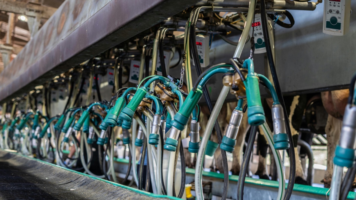 Süt Tozu İthalatı Sürüyor: Bakanlık İnkar Ederken Veriler Farklı Konuşuyor